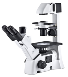 MICROSCOPIO ROVESCIATO AE31