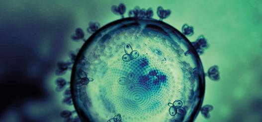 BIOINFORMATICS