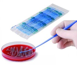 Aghi Anse per inoculazione microbiologia