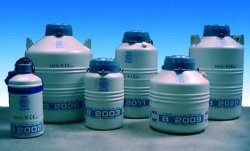 Contenitori per azoto liquido