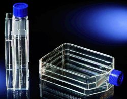 Fiasche per colture cellulari