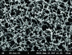 membrane filtranti in nitrato di cellulosa