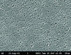 membrane filtranti in poliammide