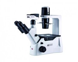 Microscopi invertiti