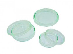 Piastre Petri per Microbiologia