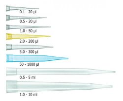 Puntali per pipette Brand