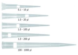 Puntali per pipette LLG
