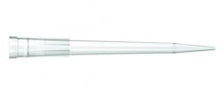 Puntali per pipette Thermo Scientific Finpipette