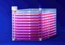 Sistema easyfill