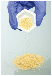 CATALOGO MICROBIOLOGIA